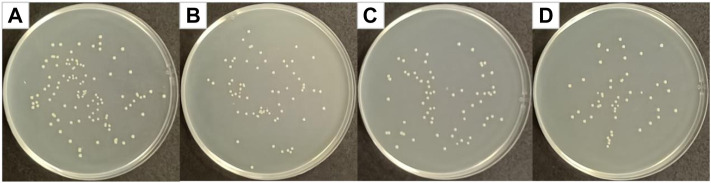 FIGURE 9