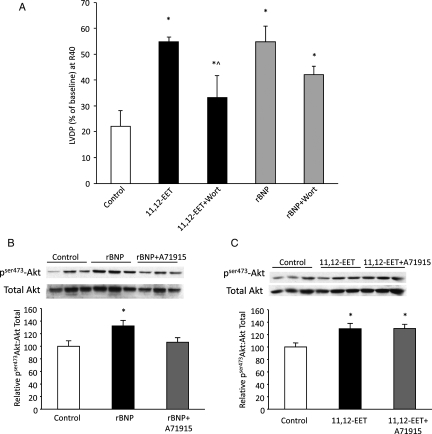 Figure 5