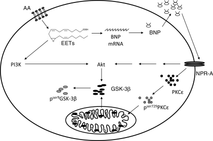 Figure 6