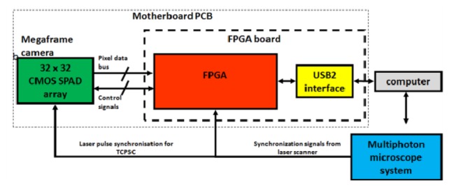 Fig. 2