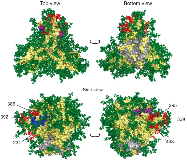 Figure 4