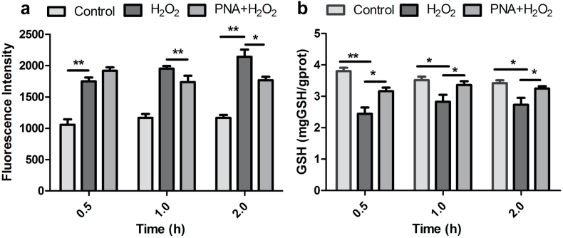 Fig. 9