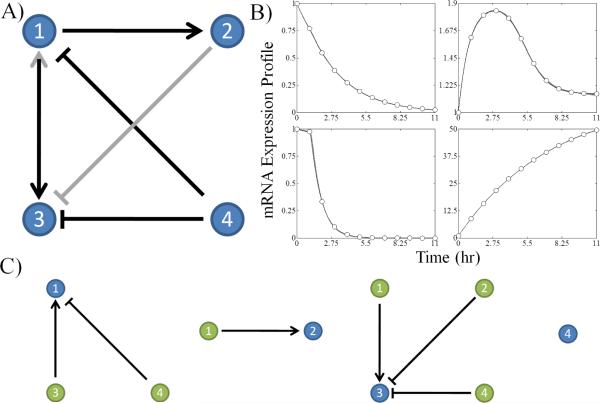 Fig. 1