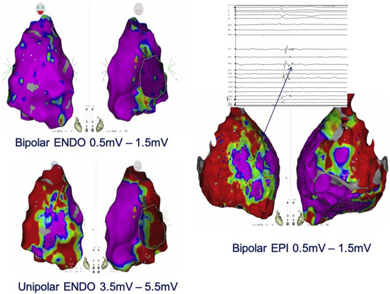 Figure 4