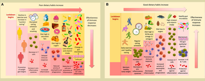 Graphical Abstract