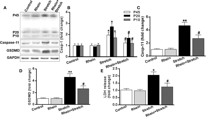 Figure 5