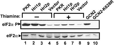 FIG. 5.