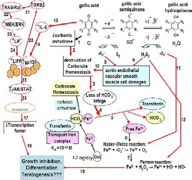 Fig 6