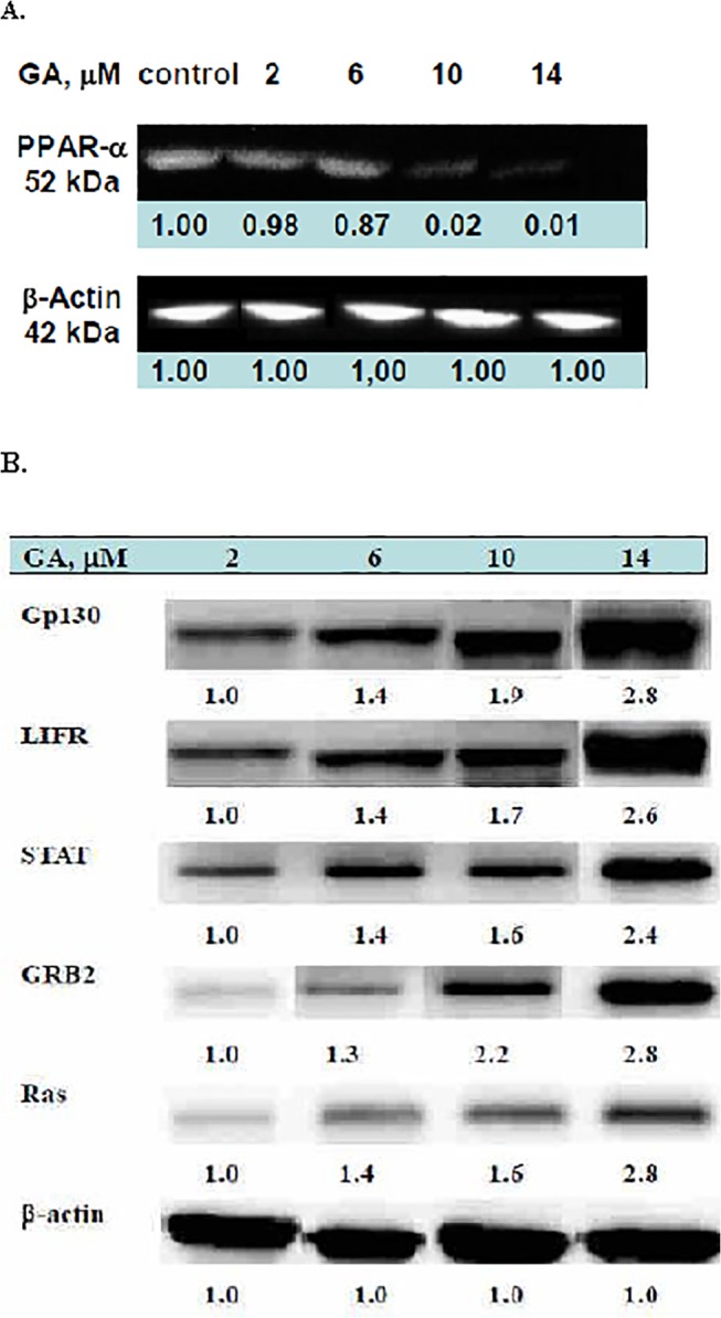 Fig 5