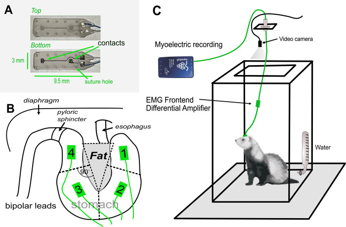 Fig 1