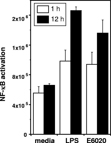 FIG. 1.