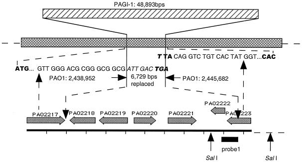 FIG. 3