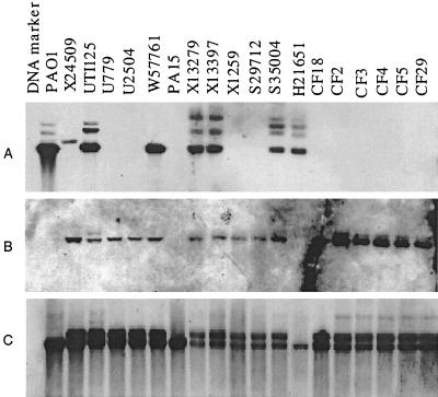 FIG. 5