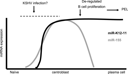 FIG. 9.