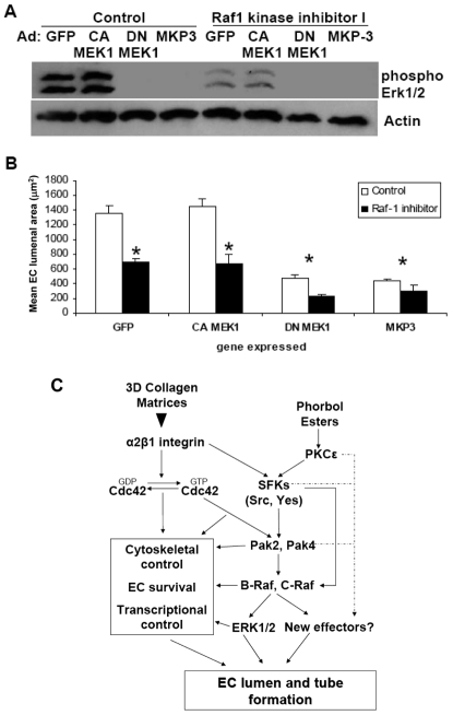 Fig. 11.