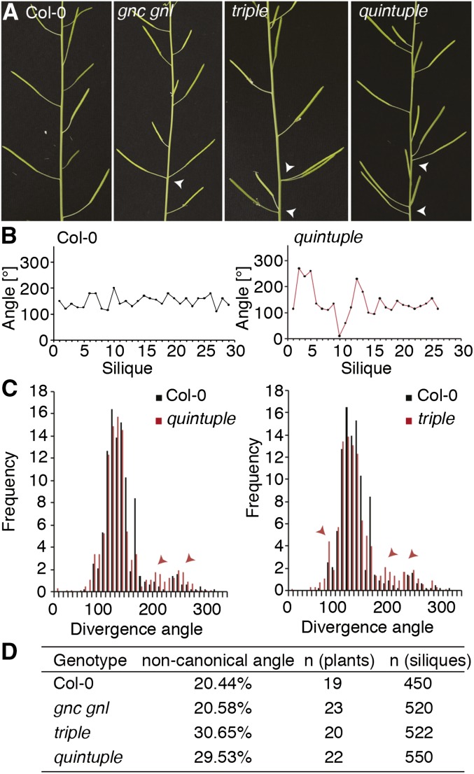 Figure 7.