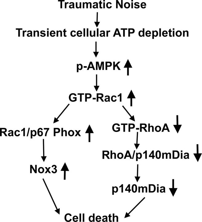 Figure 12.