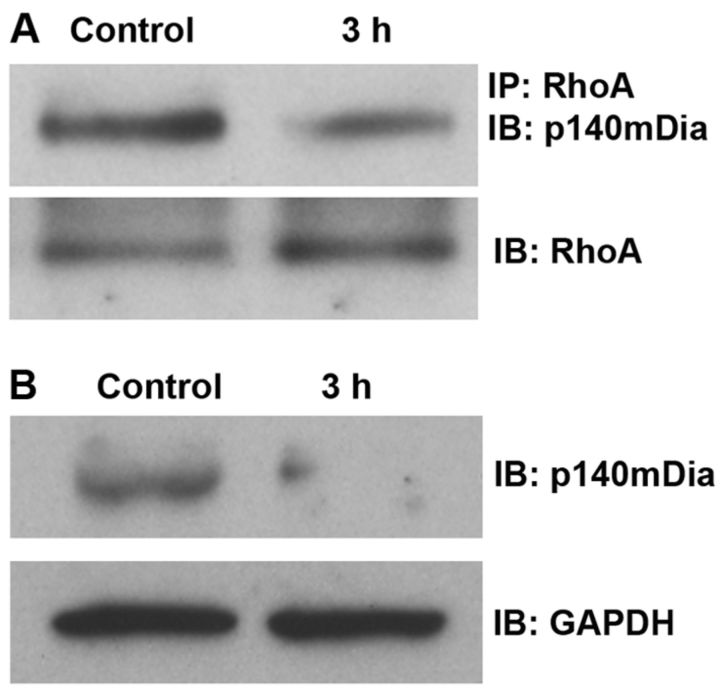 Figure 9.