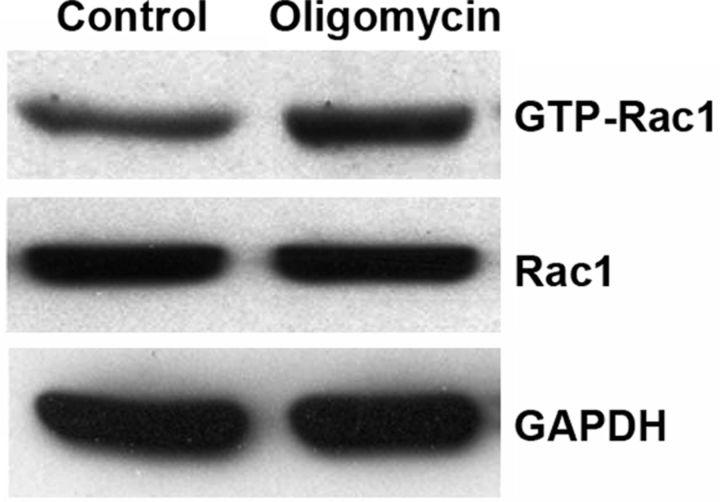 Figure 11.