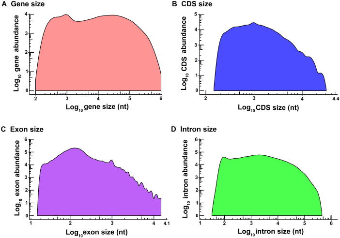 Supplementary figure 1