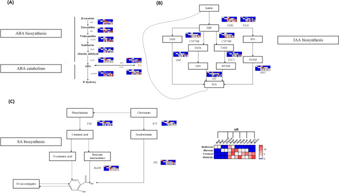 Figure 6