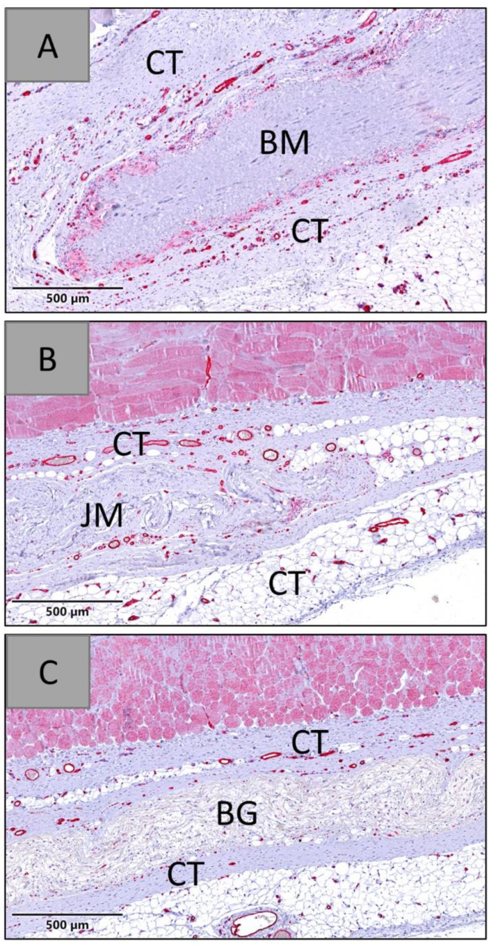 Figure 13