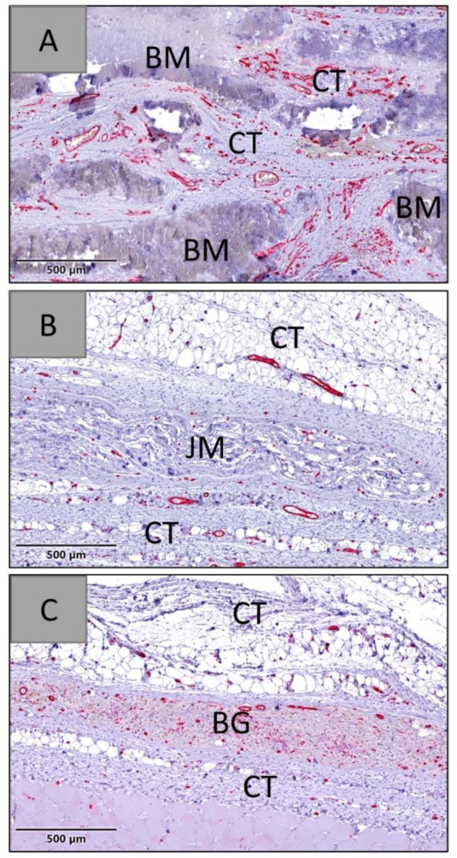 Figure 15