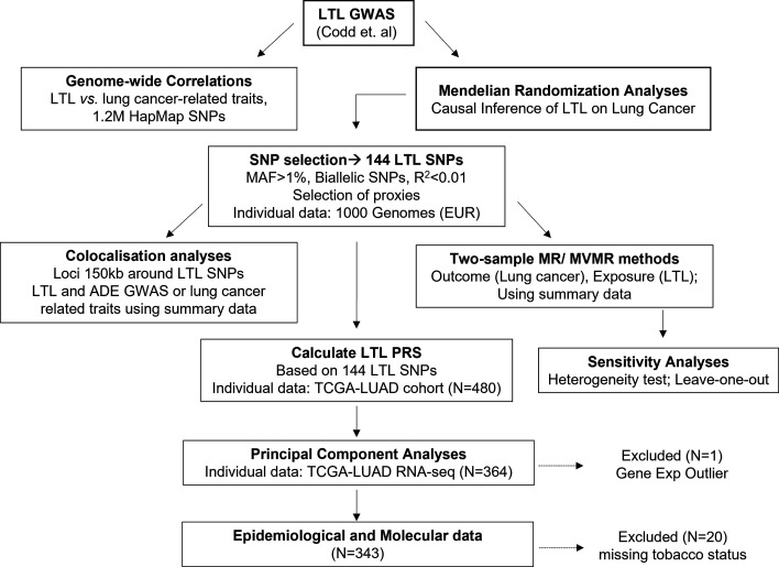 Figure 1—figure supplement 1.