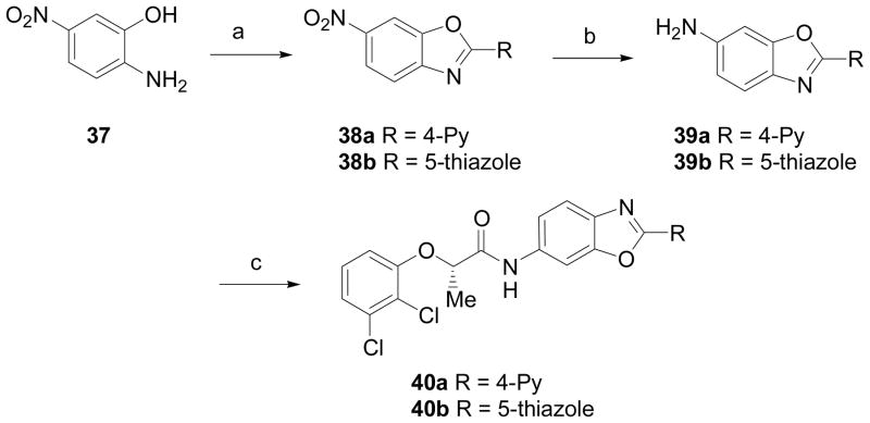 Scheme 8