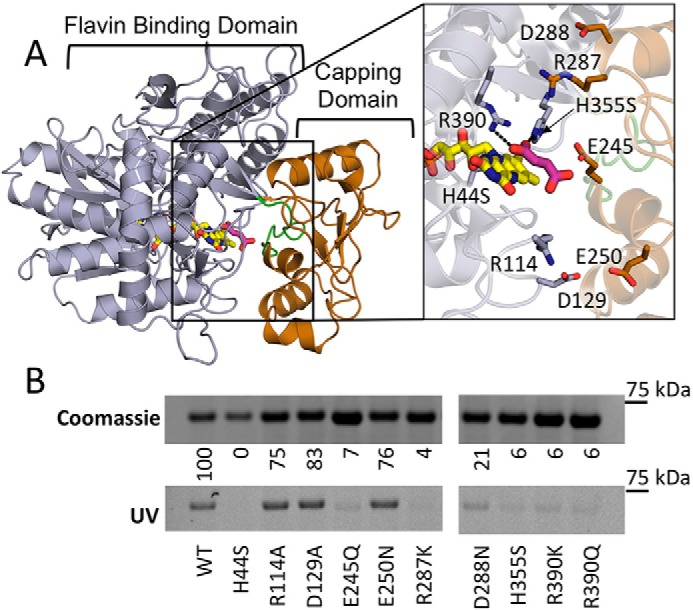 Figure 3.