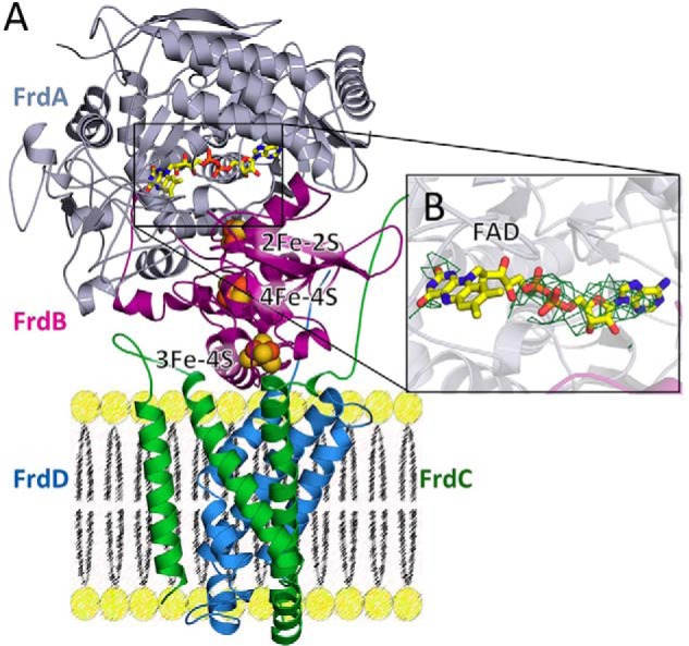 Figure 5.