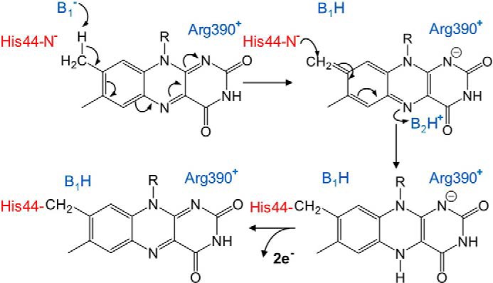 Figure 1.