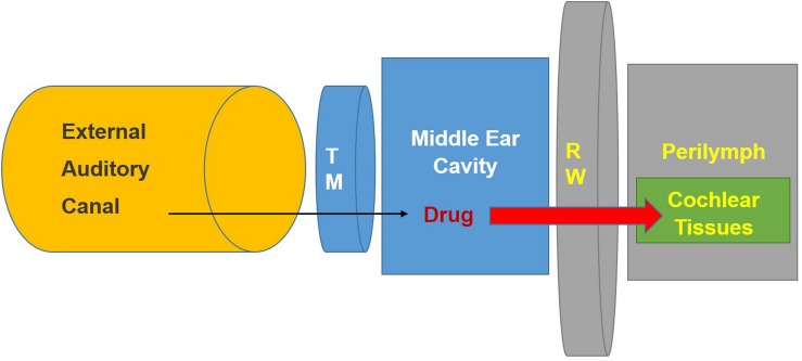 FIGURE 2