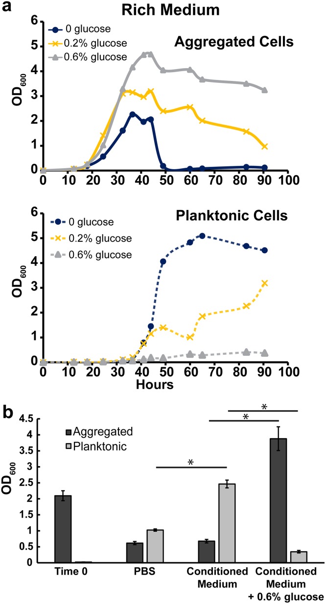 FIG 3