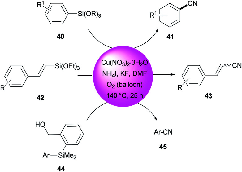 Scheme 20