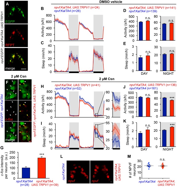 Figure 5—figure supplement 2.