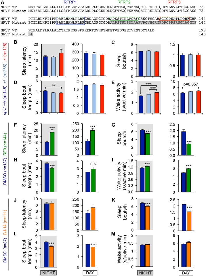 Figure 3—figure supplement 1.