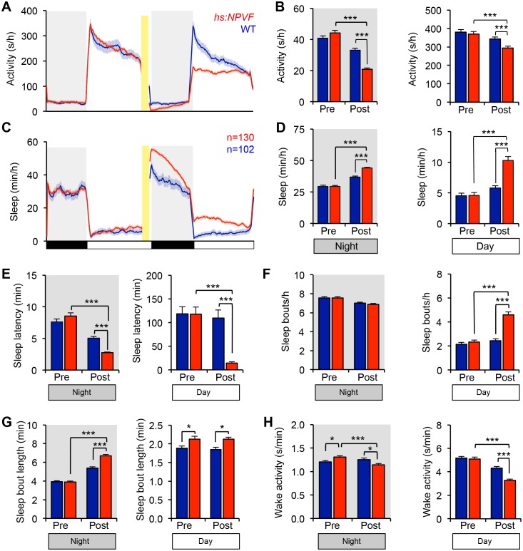 Figure 1—figure supplement 2.