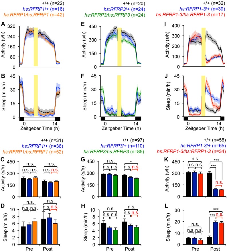 Figure 2—figure supplement 1.