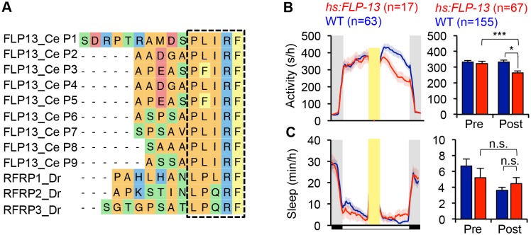 Figure 1—figure supplement 1.