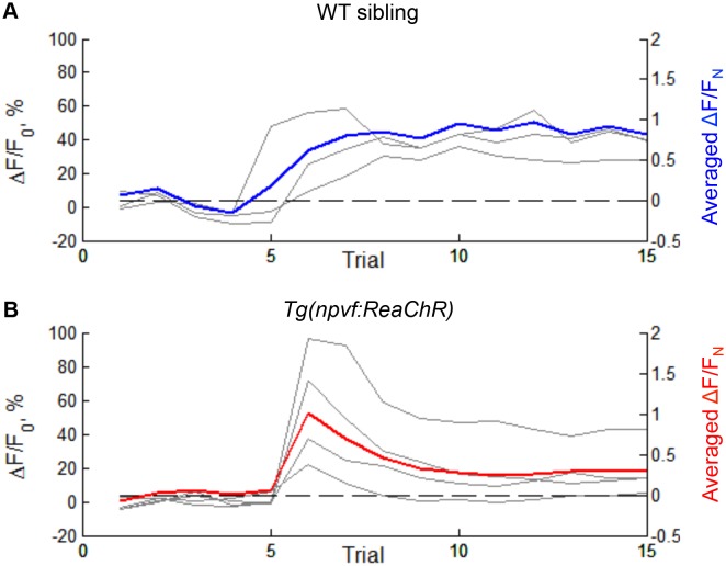 Figure 7—figure supplement 1.