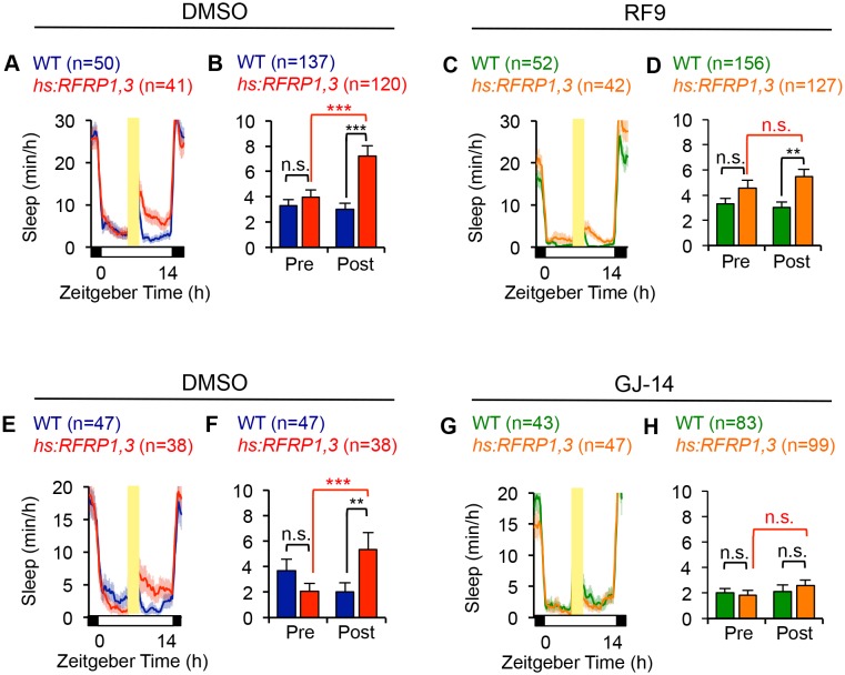 Figure 3—figure supplement 2.