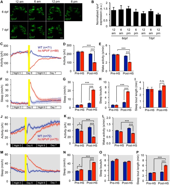 Figure 1—figure supplement 3.