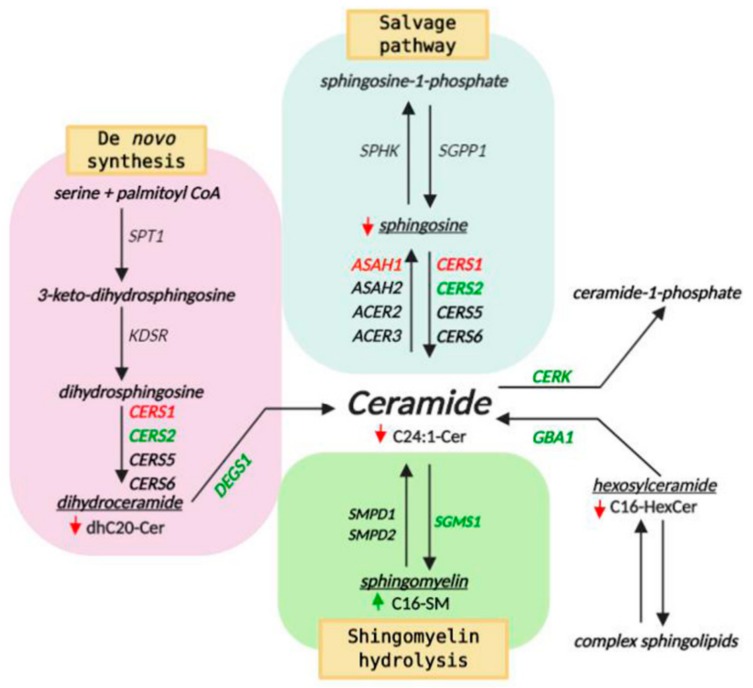 Figure 11