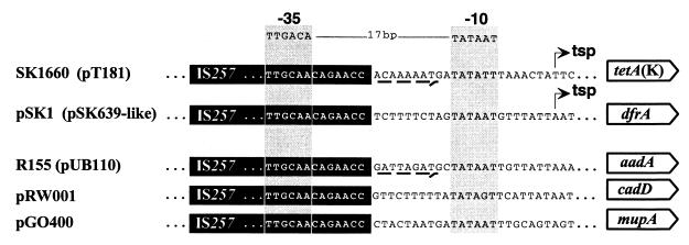 FIG. 7