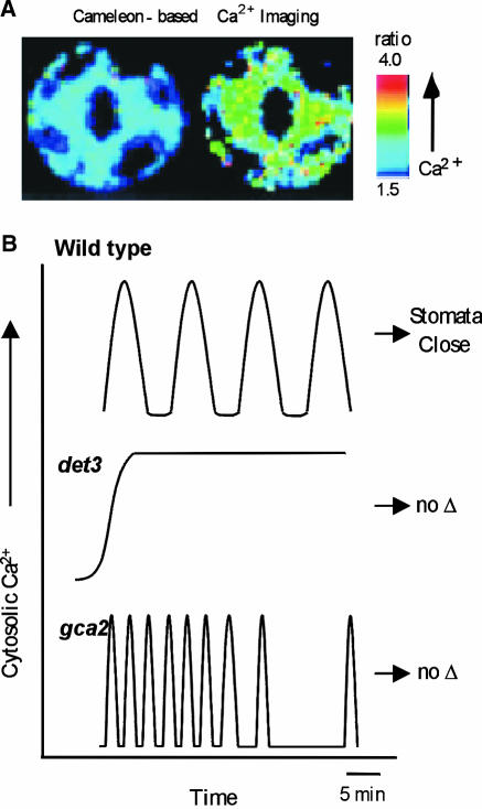 Figure 5.