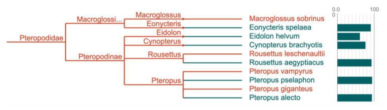 Figure 14. 