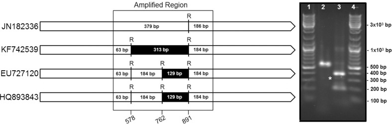 Figure 6