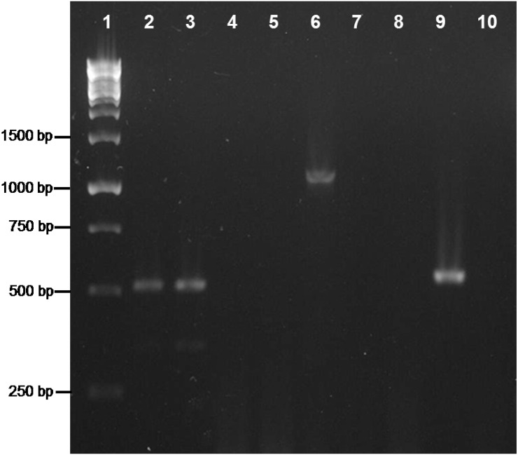 Figure 5