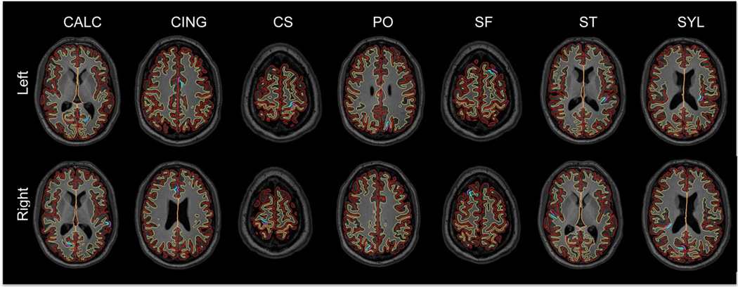 Fig. 6